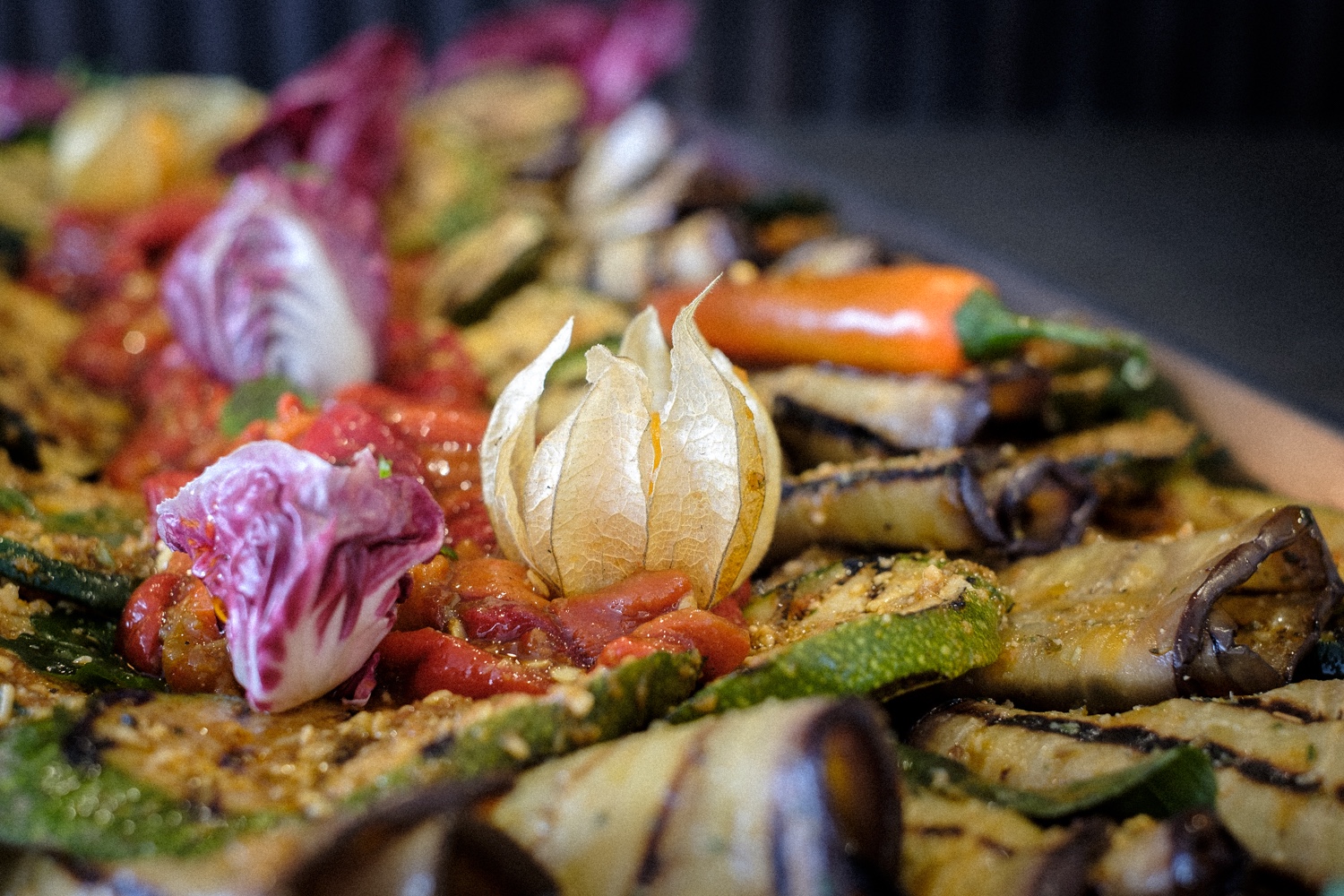 Aurora Template by BLOCS PREMIUM